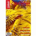 Журнал "Предельная глубина" 2011г №  6 (с диском)